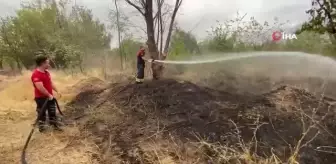 Anız yangını çevreye sirayet etmeden söndürüldü