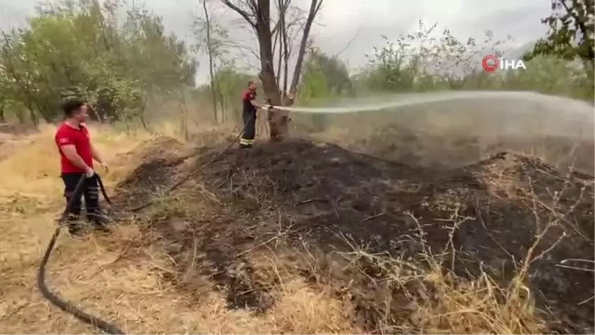 Anız yangını çevreye sirayet etmeden söndürüldü