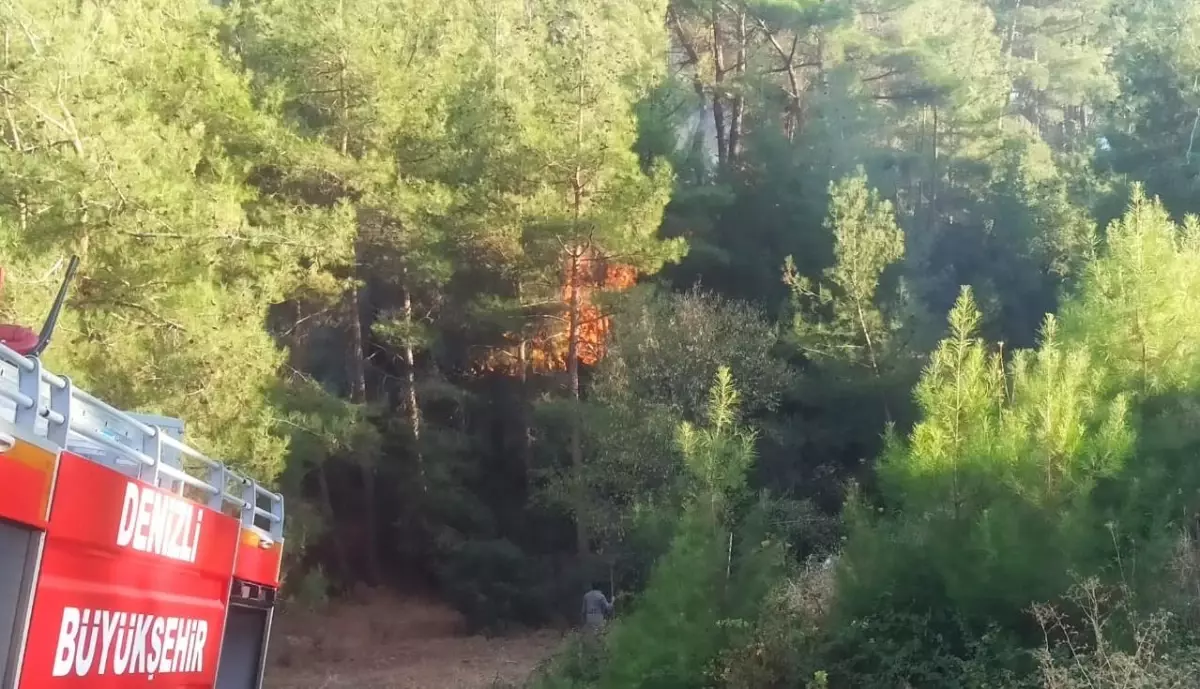 Denizli haberleri! Denizli'de orman yangını çıktı