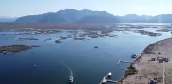 Dünyaca ünlü Dalyan İztuzu plajında deniz dibi temizliği