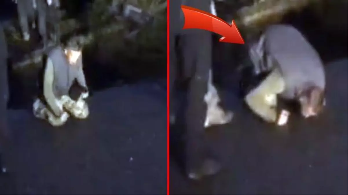 Rusya ve Ukrayna arasında esir takası sonrasında evine ulaşan Ukraynalı asker toprağı öptü