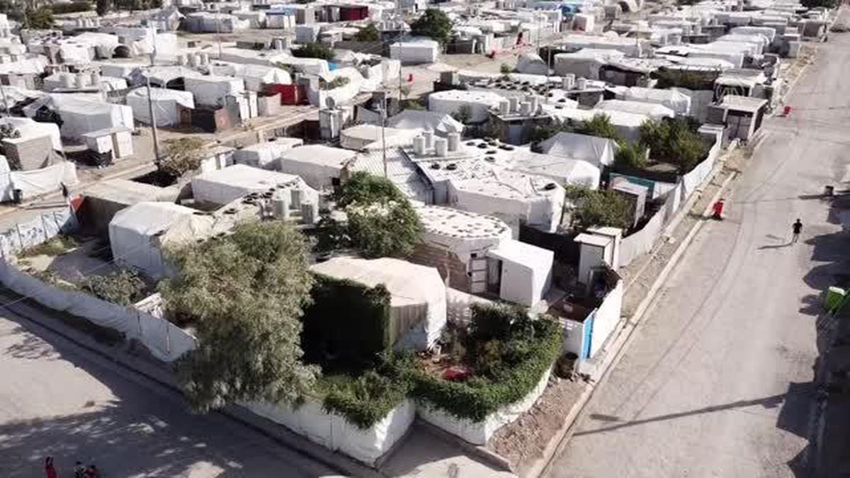 Sincarlı sığınmacı Ezidi kadın kaldığı çadırı çiçek bahçesine çevirdi