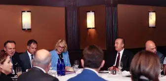 Dışişleri Bakanı Çavuşoğlu, GDAÜ Dışişleri Bakanları Gayrıresmi Toplantısı'na katıldı
