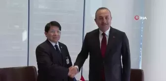 Dışişleri Bakanı Çavuşoğlu, İsveçli mevkidaşı Linde ile görüştü
