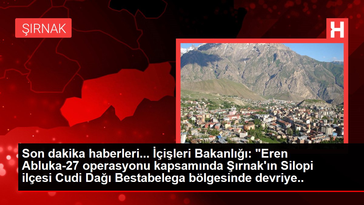Son dakika haberi! Şırnak'ın Silopi ilçesinde 2 terörist yakalandı