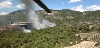 İzmir haberi! İzmir Bergama'da çıkan orman yangını kontrol altına alındı