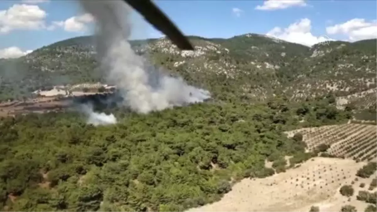 İzmir haberi! İzmir Bergama'da çıkan orman yangını kontrol altına alındı