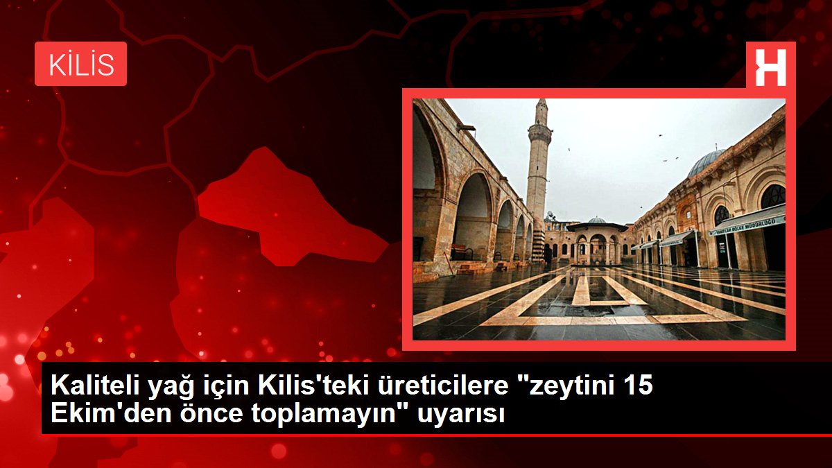 Kilis haberleri... Kaliteli yağ için Kilis'teki üreticilere 'zeytini 15 Ekim'den önce toplamayın' uyarısı