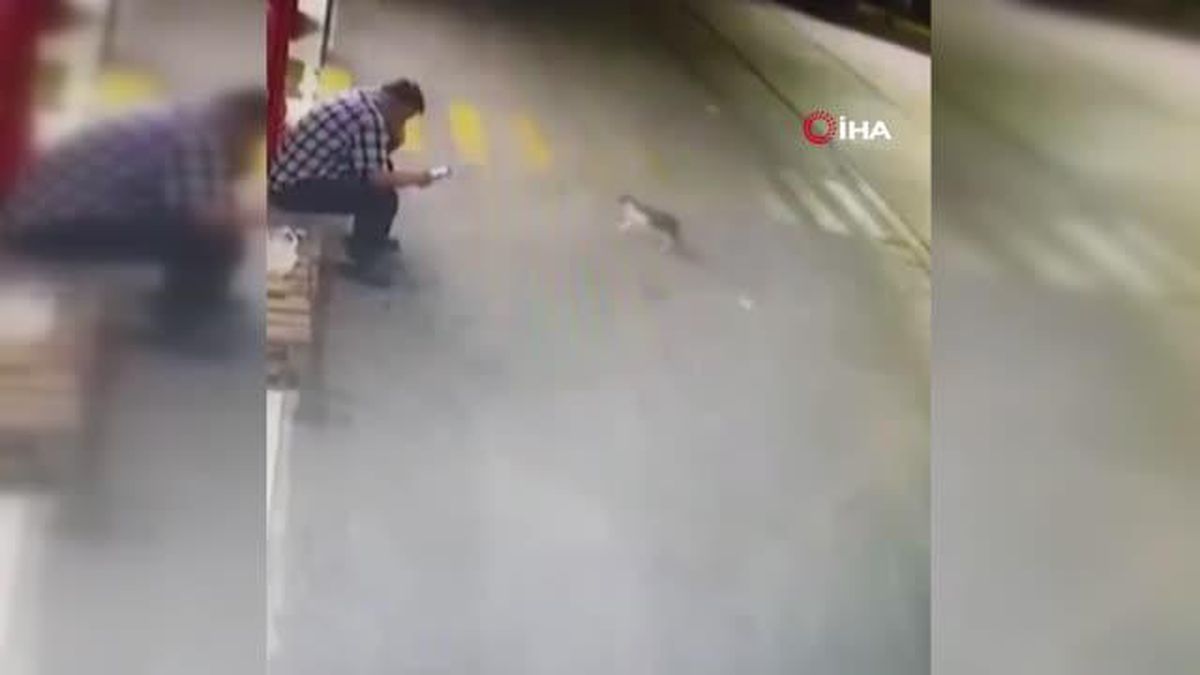 Bisikletli kapkaççı oturan adamın elindeki telefonu böyle çaldı
