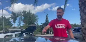 'Kırık Kanat' tedavi edildiği üniversiteyi terk etmedi