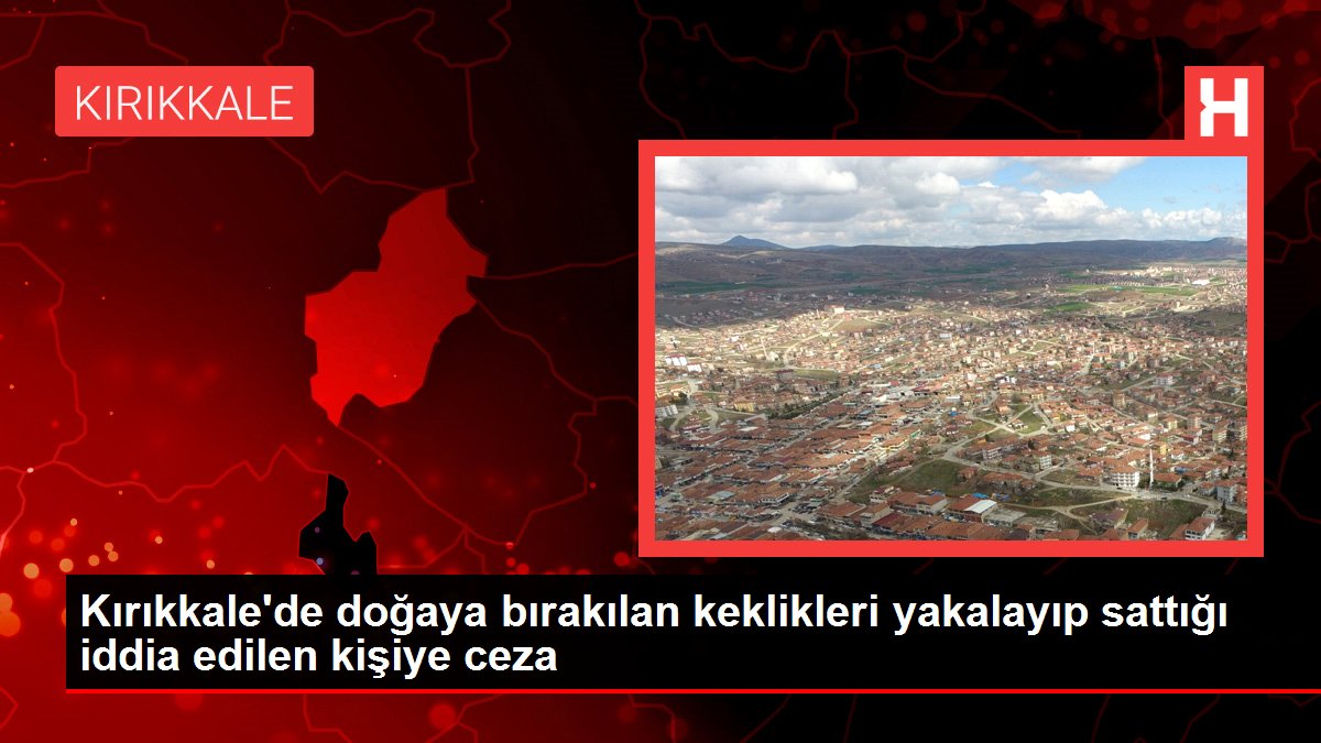 Kırıkkale haberleri: Kırıkkale'de doğaya bırakılan keklikleri yakalayıp sattığı iddia edilen kişiye ceza