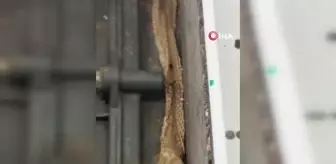 Tamir ettiği çamaşır makinesinden yılan derisi çıktı