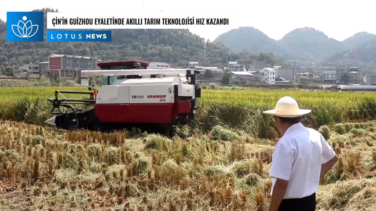 Video: Çin'in Guizhou Eyaletinde Akıllı Tarım Teknolojisi Hız Kazandı