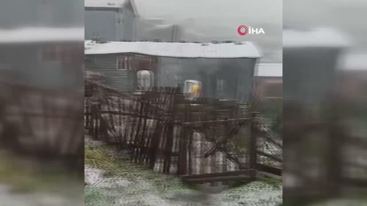 Artvin haberleri... Artvin'in yüksek kesimlerinde kar yağışı etkili oldu