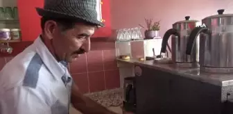 Dondurma bağımlısı kedi çay ocağının maskotu oldu