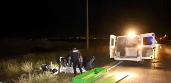 Karanlık caddede yolun karşısına geçmek isterken canından oldu
