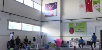 Milli halterci Muhammed Furkan, Gençler Avrupa Şampiyonası'nda rekor peşinde