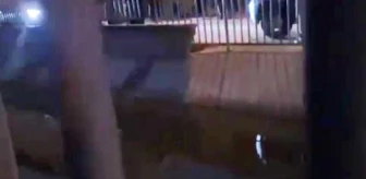 Adana haber: Adana'da 3 yaşındaki kız çocuğu sulama kanalında boğuldu