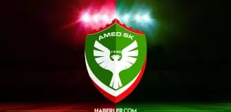 Amedspor hangi şehrin takımı? Amedspor hangi ligde? Amedspor kaç yılında kuruldu?