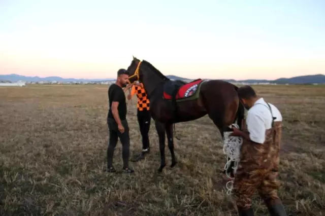 Jokeyini üstünden atan at saatler sonra göldeki sazlıklarda bulundu Jokeyini üstünden atan at saatler sonra göldeki sazlıklarda bulundu