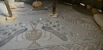 Hadrianaupolis'te üzerinde çeşitli figürlerin bulunduğu yeni mozaikler ortaya çıkarıldı