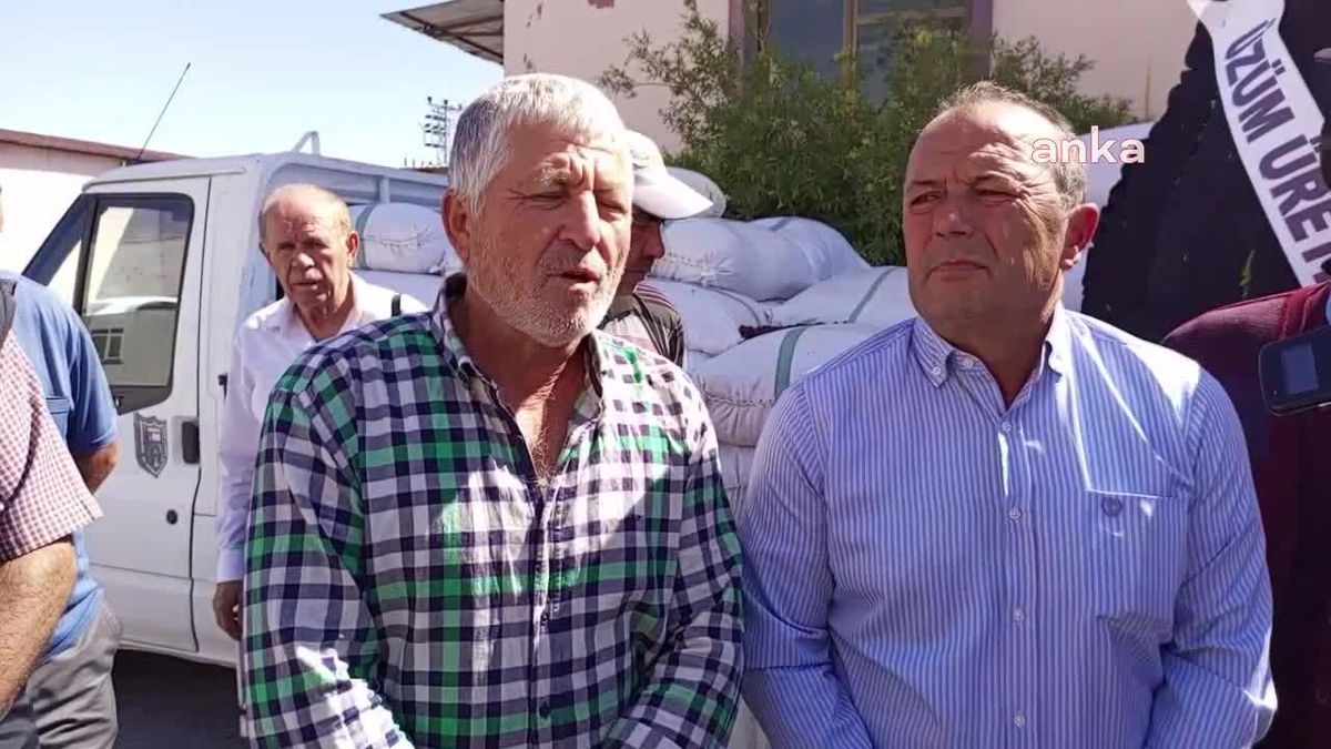 Manisalı Üzüm Üreticileri TMO'ya Siyah Çelenk Bırakarak Protesto Etti: 'Bizi Tüccarın Kucağına Attılar'