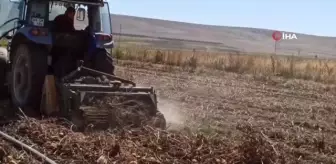 Afyon haber! Şuhut'ta kışlık patates hasadı başladı