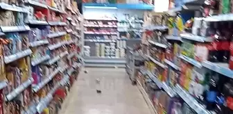 Ardahan 3. sayfa haberleri | Ardahan'da 5 büyüklüğündeki depremin panik anları kamerada