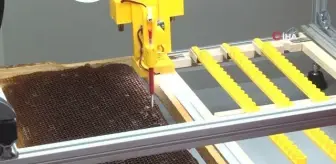 Bu cihaz arı sütü üretiminde verimi 10 katına çıkartıyor