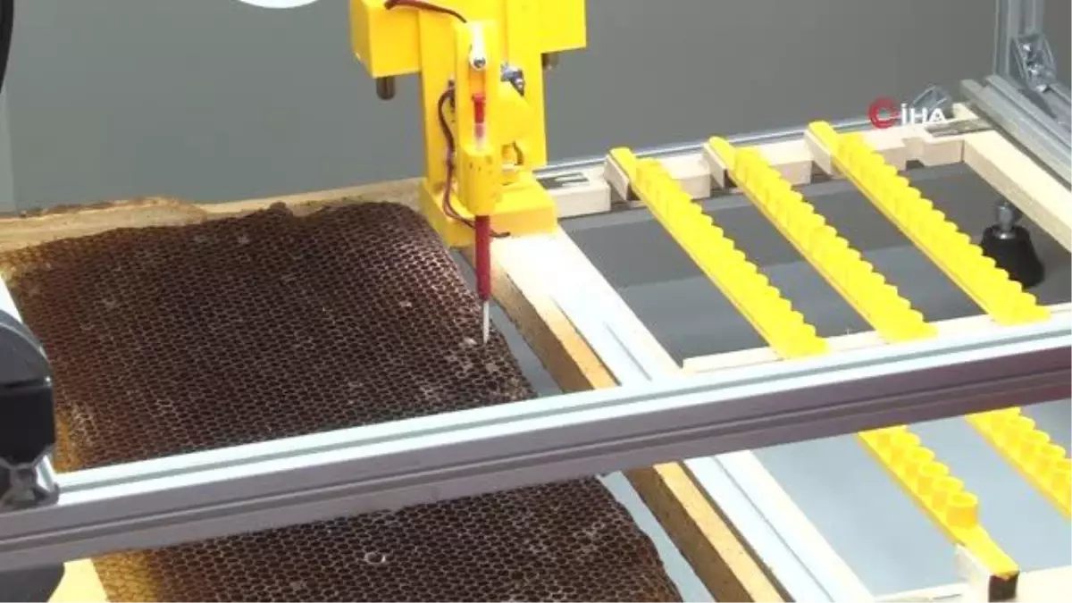 Bu cihaz arı sütü üretiminde verimi 10 katına çıkartıyor