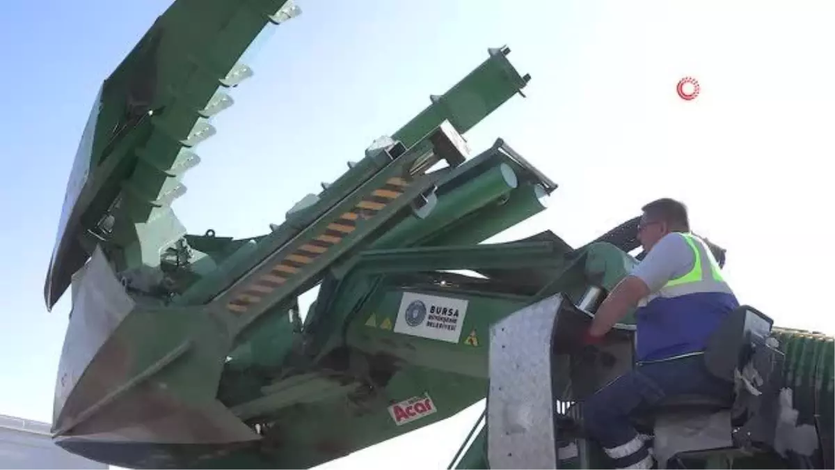 Bursa haberleri: Bursa'da genişleyen yollarda kalan ağaçlar taşınıyor