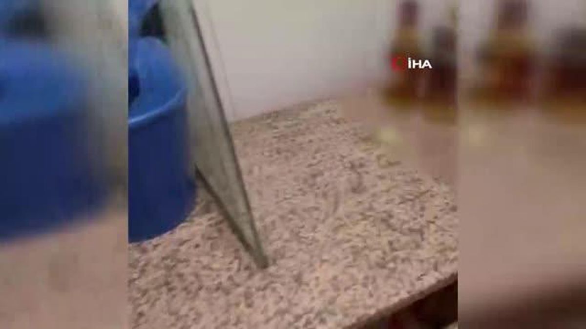 Ankara haberleri: Ankara'da kaçak alkol operasyonu: 7 gözaltı. Hapisteki eşinin kaçakçılık faaliyetlerini sürdürürken yakalandı