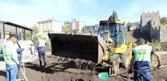 Başkan Demir ve meclis üyeleri kolları sıvadı, peyzaj çalışması yaptı