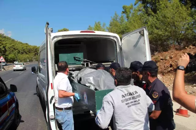Tek bir detay her şeyi ortaya çıkardı! Dövizci cinayetinin zanlısını özel ekip yakaladı