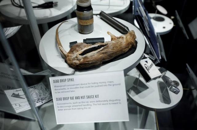 Dünyanın gizli müzesi! İçinde tarihi şekillendiren eserler bulunuyor