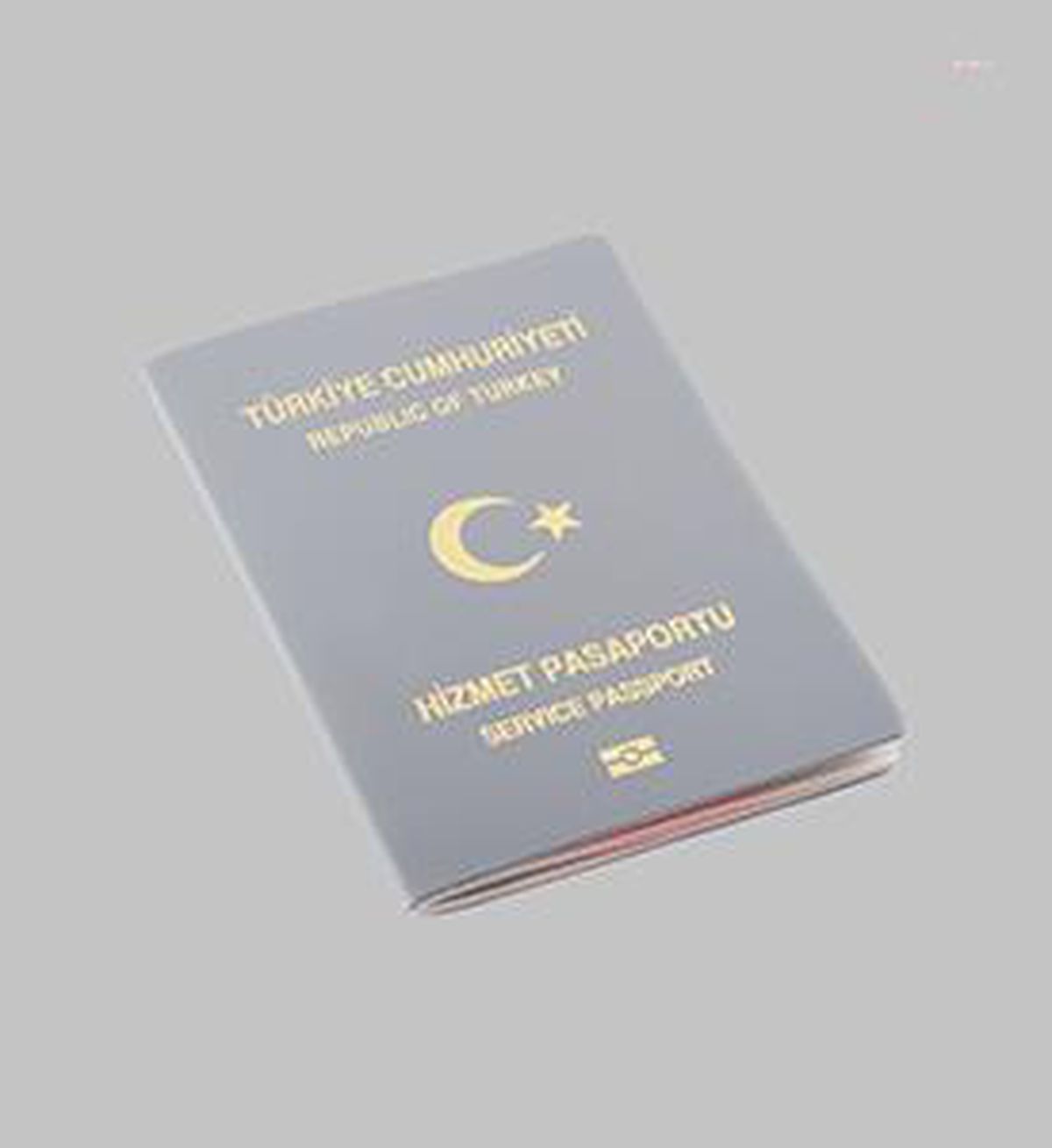 Son dakika haberi! 'Gri Pasaport' Davasında Bir Kişi Tutuklandı