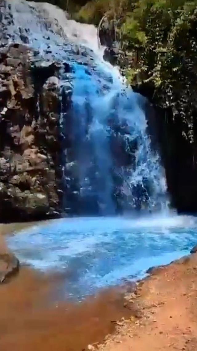 Karı kocanın cinsiyet öğrenme partisinde yaptıkları infial yarattı! Dünyanın her yerinden tepki var