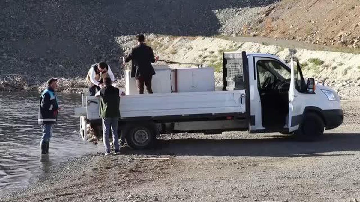 Kırklartepe Barajı'na 232 bin sazan yavrusu bırakıldı