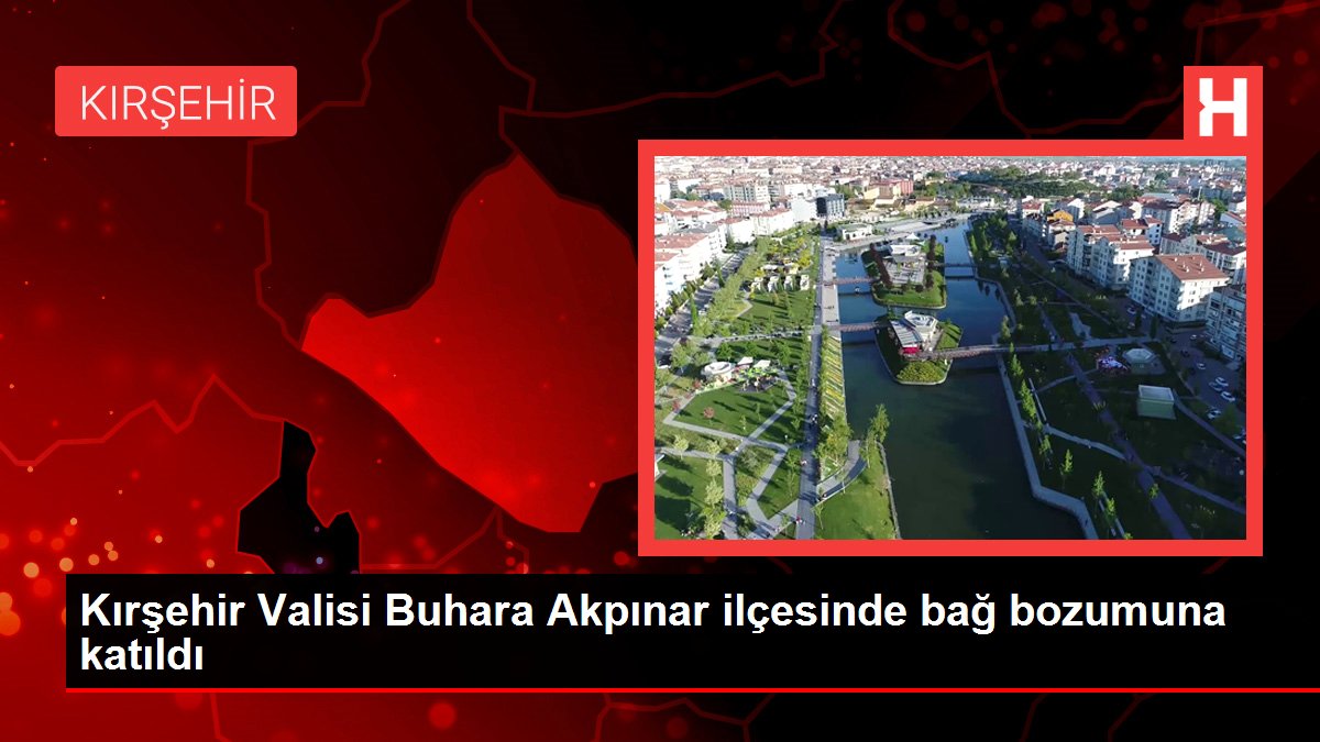 Kırşehir gündem haberleri | Kırşehir Valisi Buhara Akpınar ilçesinde bağ bozumuna katıldı