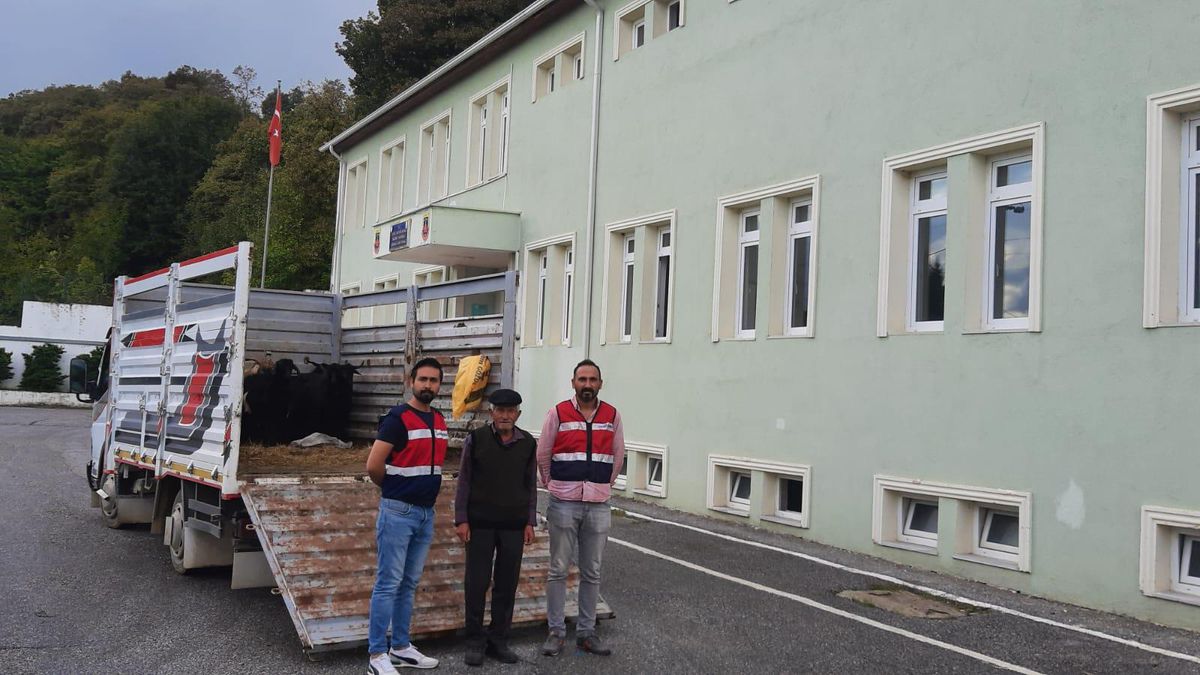 Kocaeli gündem haberi... Kocaeli'de sahte parayla keçi satın alan 2 şüpheli yakalandı