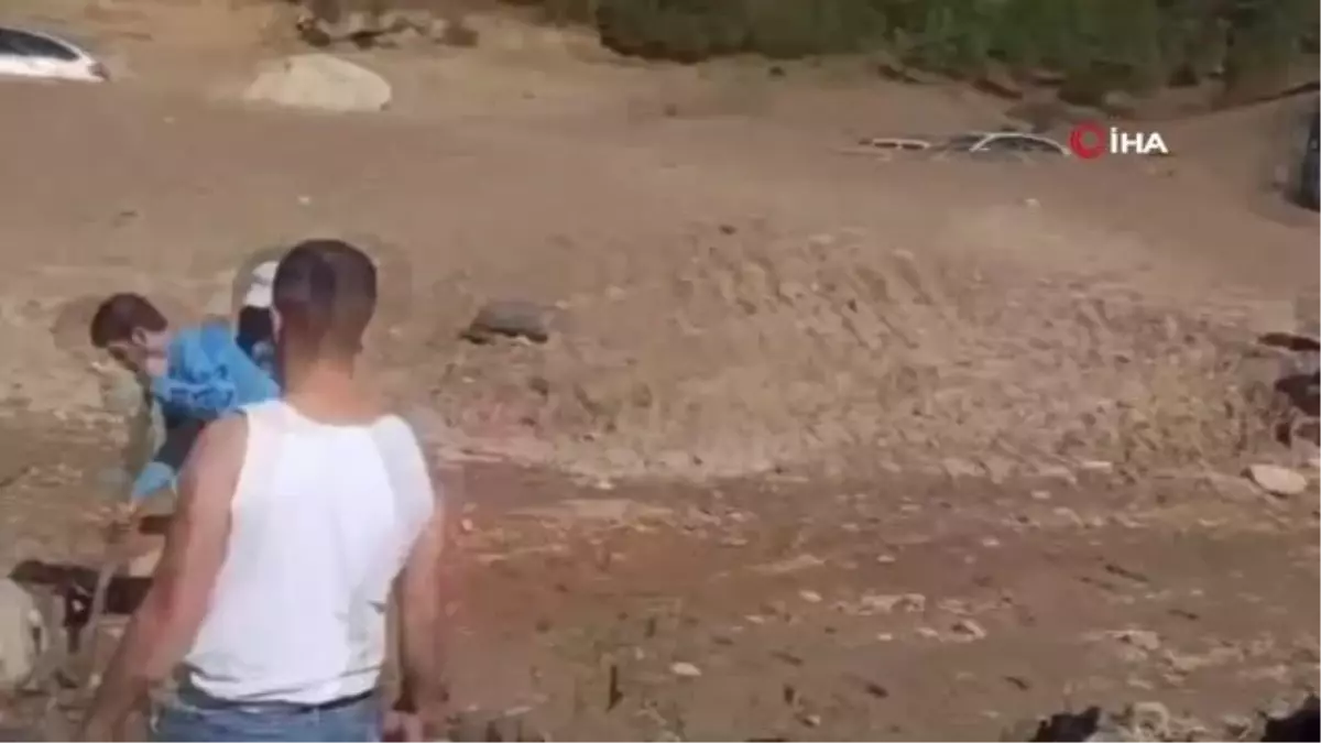 Vatandaşlar bataklığa saplanan inek için seferber oldu