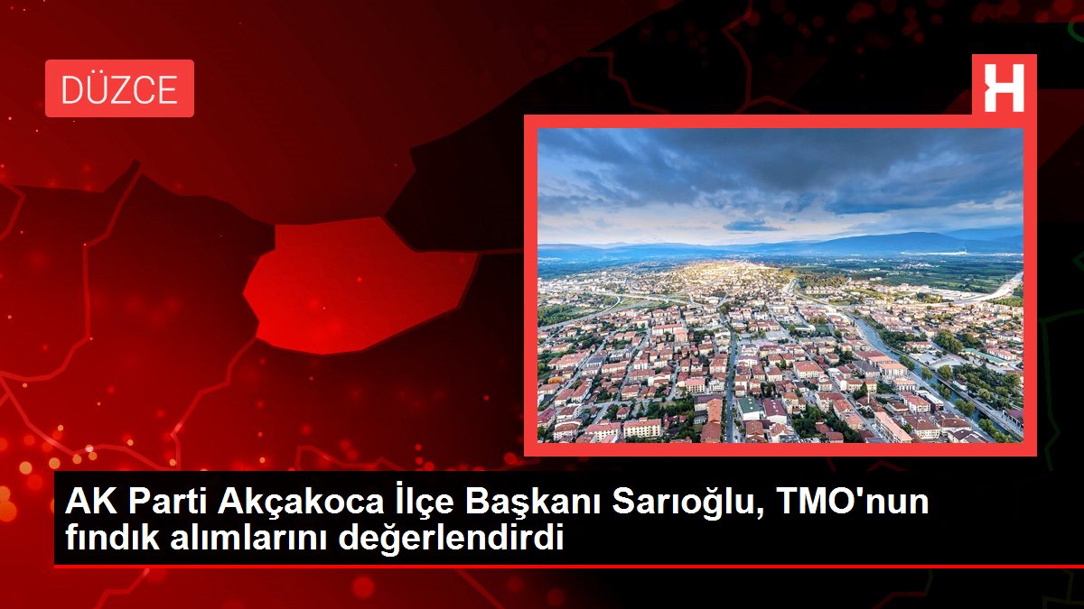 Düzce gündem haberleri... AK Parti Akçakoca İlçe Başkanı Sarıoğlu, TMO'nun fındık alımlarını değerlendirdi