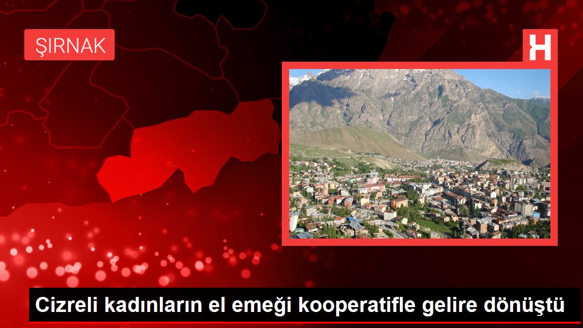 Cizreli kadınların el emeği kooperatifle gelire dönüştü