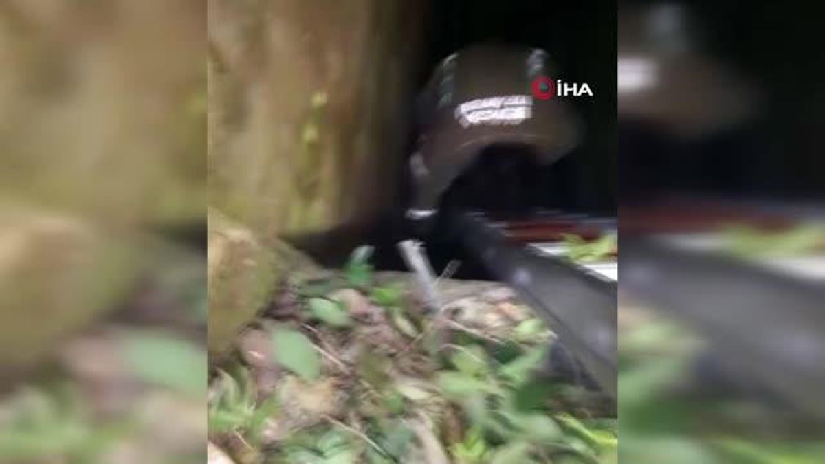 Bursa 3. sayfa haberleri... Bursa'da kuyuya düşen köpek böyle görüntülendi