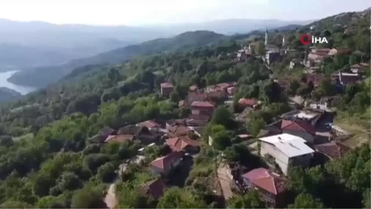 Bursa ekonomi haberleri | Bursa'daki köyü gören Karadeniz sanıyor...Yılda 60 ton fındık üretiyorlar