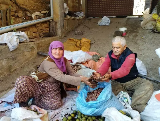 Bu köyü görenler 'Giresun'da mıyız?' diyor! Yılda 60 ton fındık üretiyorlar