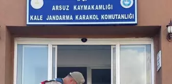 Hatay haberi | Hatay'da jandarmanın bitkin bulduğu dağ keçisi tedaviye alındı
