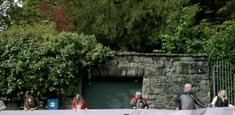 Hırvatistan'da 'İranlı kadınlarla dayanışma' gösterisi