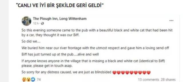 Ölen kedisini toprağa gömdü, 2 saat sonra yaşadıkları nedeniyle başından aşağı kaynar sular döküldü