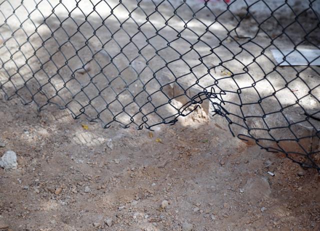 Pitbull cinsi 3 köpek belediyeye ait kedi evine girdi, ortaya çıkan tablo çok ağır oldu Pitbull cinsi 3 köpek belediyeye ait kedi evine girdi, ortaya çıkan tablo çok ağır oldu